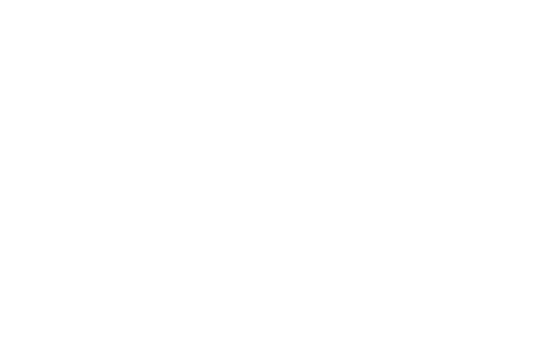 FFHandball